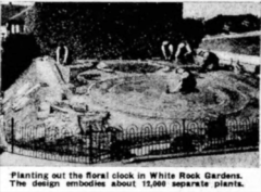 Planting White Rock Gardens Floral Clock 1940